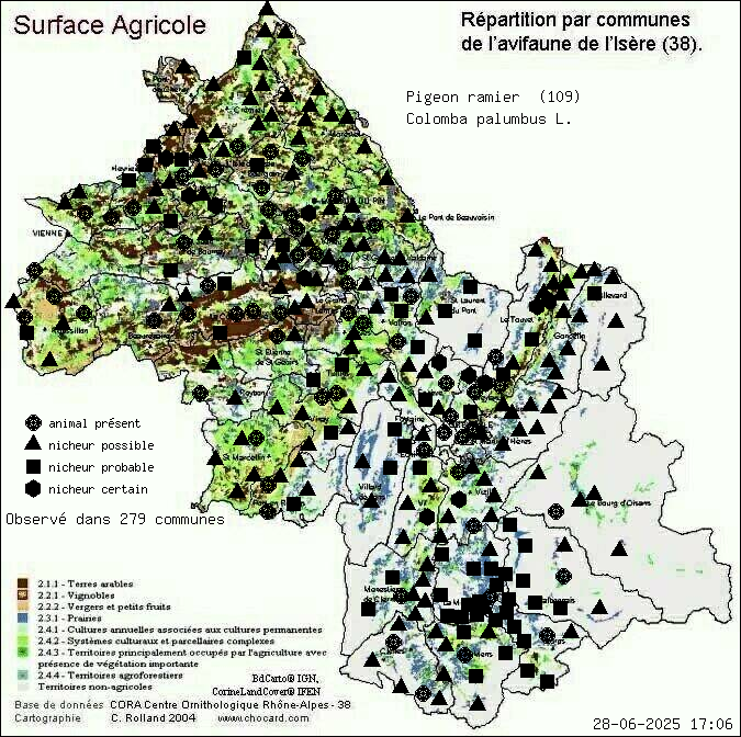 Pigeon ramier (Colomba palumbus L.): carte de rpartition en Isre