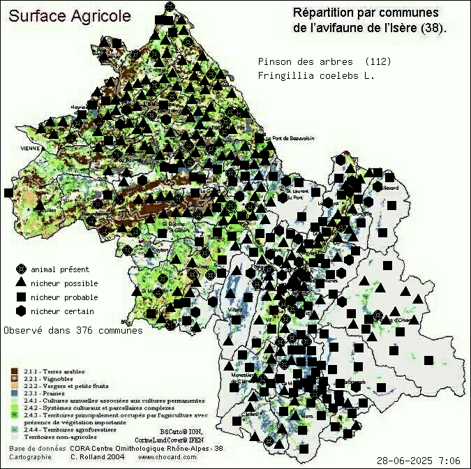 Pinson des arbres (Fringillia coelebs L.): carte de rpartition en Isre