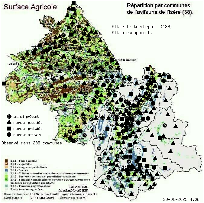 Sittelle torchepot (Sitta europaea L.): carte de rpartition en Isre