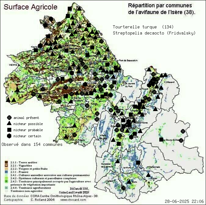 Tourterelle turque (Streptopelia decaocto (Fridvalsky)): carte de rpartition en Isre