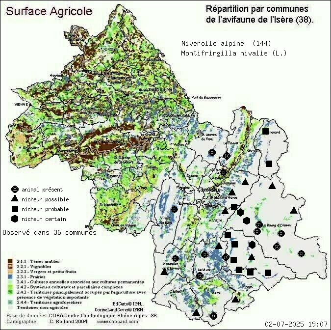 Niverolle alpine (Montifringilla nivalis (L.)): carte de rpartition en Isre