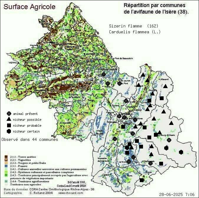 Sizerin flamm (Carduelis flammea (L.)): carte de rpartition en Isre