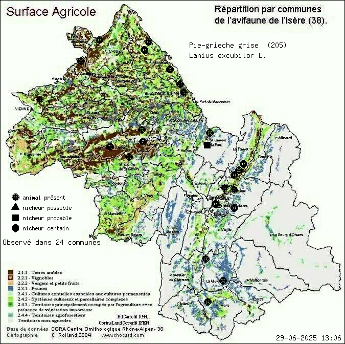 Pie-griche grise (Lanius excubitor L.): carte de rpartition en Isre