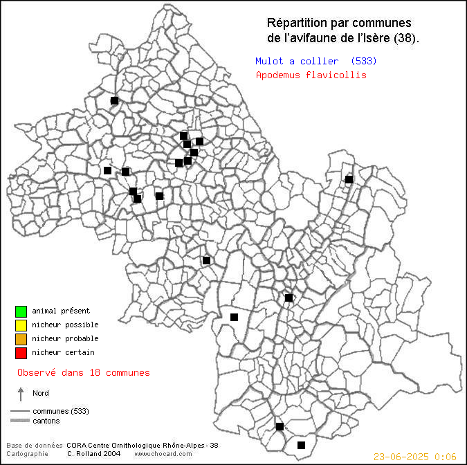 Carte de rpartition par communes en Isre d'une espce d'animal: Mulot  collier (Apodemus flavicollis) selon Communes et cantons