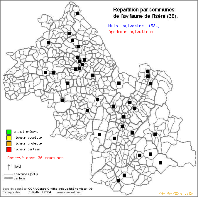 Carte de rpartition par communes en Isre d'une espce d'animal: Mulot sylvestre (Apodemus sylvaticus) selon Communes et cantons