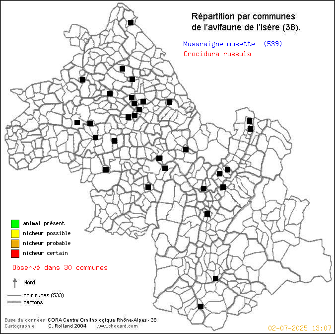 Musaraigne musette (Crocidura russula): carte de rpartition en Isre