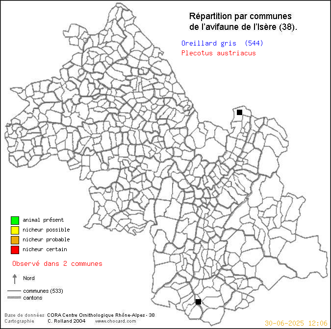 Carte de rpartition par communes en Isre d'une espce d'animal: Oreillard gris (Plecotus austriacus) selon Communes et cantons