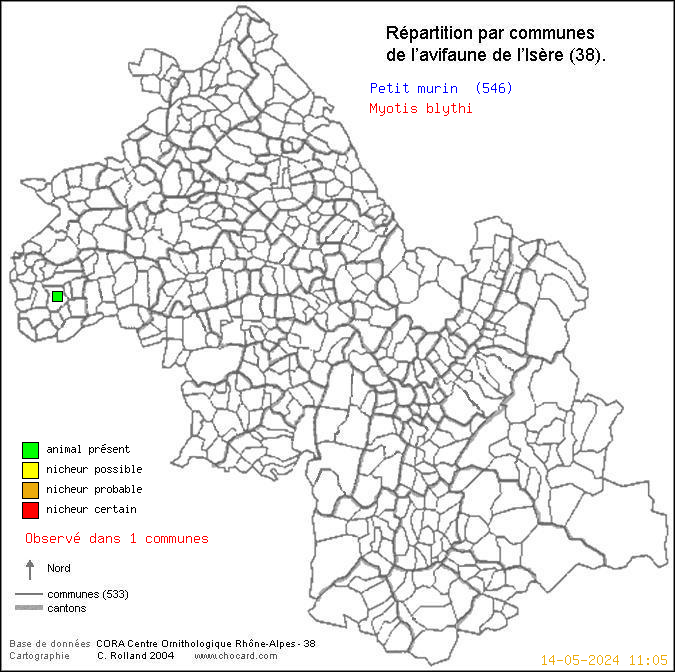 Carte de rpartition par communes en Isre d'une espce d'animal: Petit murin (Myotis blythi) selon Communes et cantons