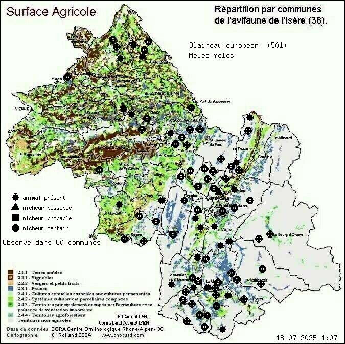 Blaireau europen (Meles meles): carte de rpartition en Isre