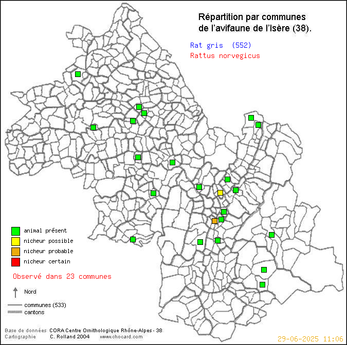 Carte de rpartition par communes en Isre d'une espce d'animal: Rat gris (Rattus norvegicus) selon Communes et cantons