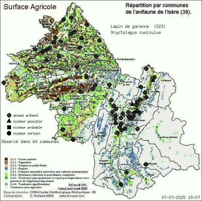 Lapin de garenne (Oryctolagus cuniculus): carte de rpartition en Isre