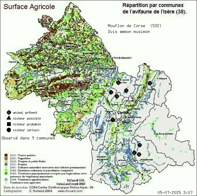 Mouflon de Corse (Ovis ammon musimon): carte de rpartition en Isre