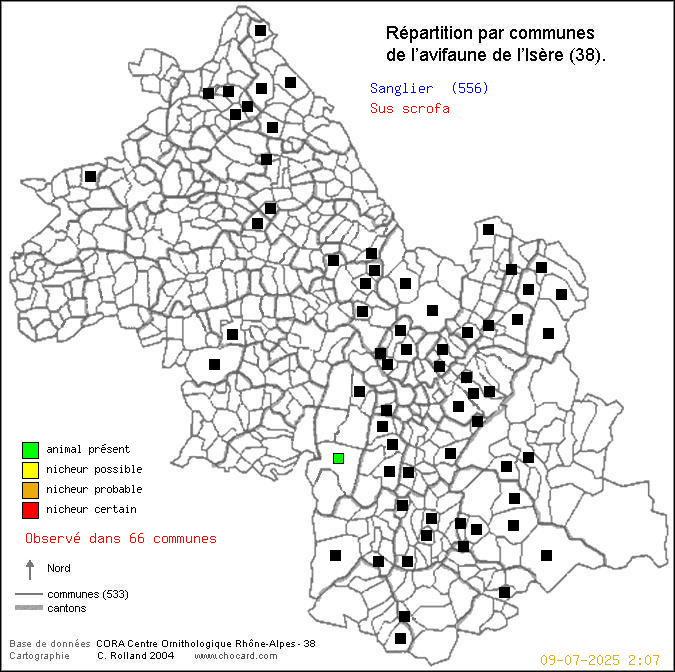 Carte de rpartition par communes en Isre d'une espce d'animal: Sanglier (Sus scrofa) selon Communes et cantons