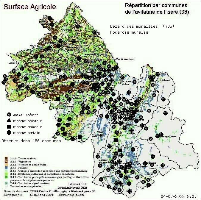 Carte de rpartition par communes en Isre d'une espce d'animal: Lzard des murailles (Podarcis muralis) selon Agriculture