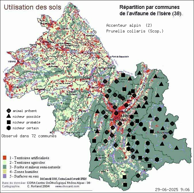 Carte de rpartition par communes en Isre d'une espce d'animal: Accenteur alpin (Prunella collaris (Scop.)) selon Occupation des sols