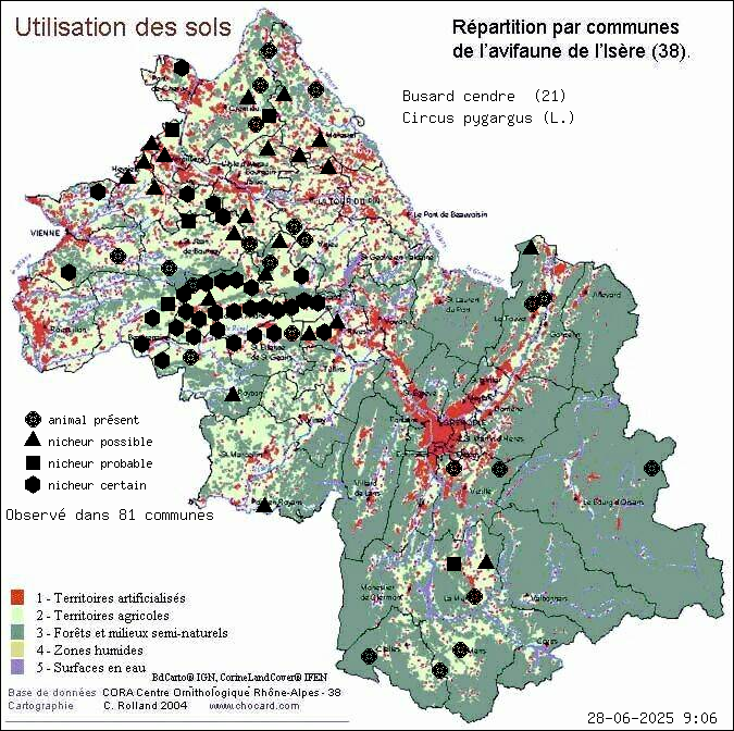 Busard cendr (Circus pygargus (L.)): carte de rpartition en Isre
