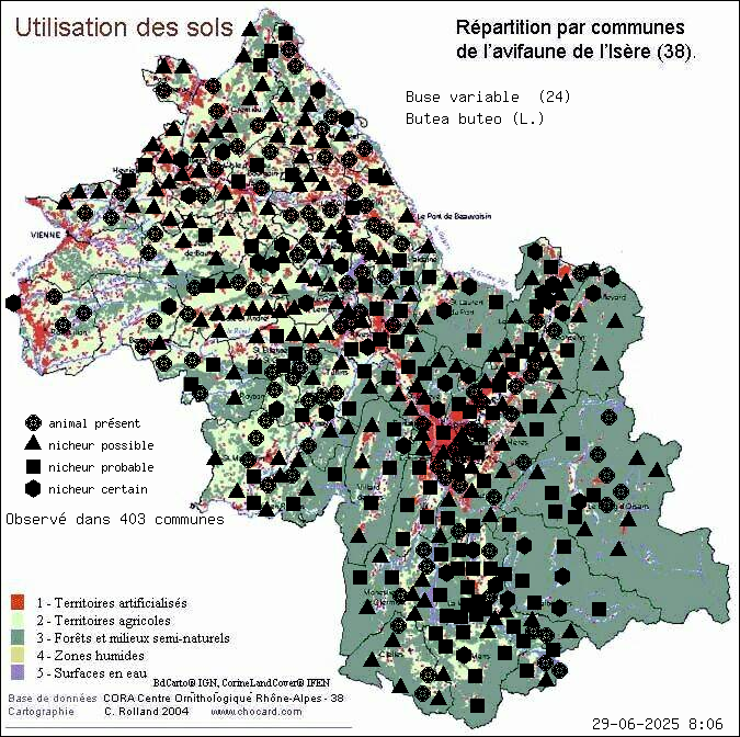 Buse variable (Butea buteo (L.)): carte de rpartition en Isre