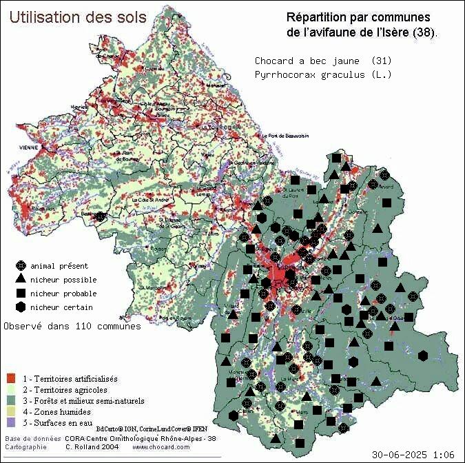 Chocard  bec jaune (Pyrrhocorax graculus (L.)): carte de rpartition en Isre