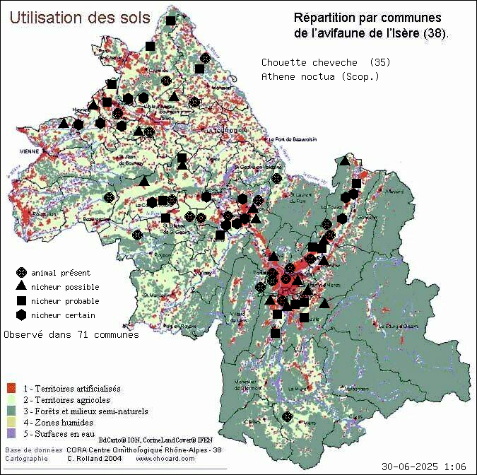 Chouette chevche (Athene noctua (Scop.)): carte de rpartition en Isre