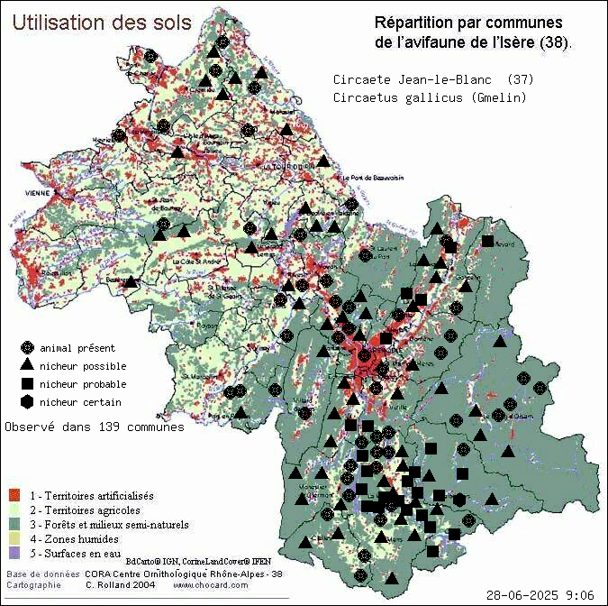 Circate Jean-le-Blanc (Circaetus gallicus (Gmelin)): carte de rpartition en Isre
