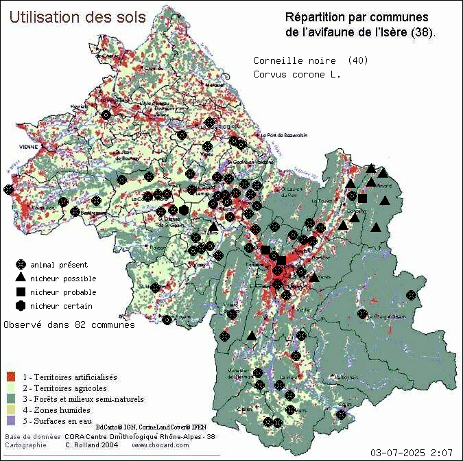 Corneille noire (Corvus corone L.): carte de rpartition en Isre