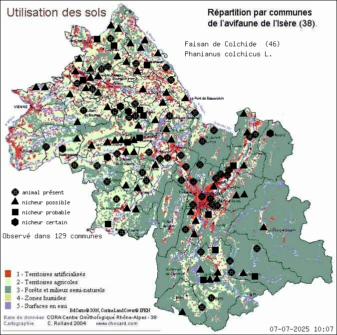 Faisan de Colchide (Phanianus colchicus L.): carte de rpartition en Isre