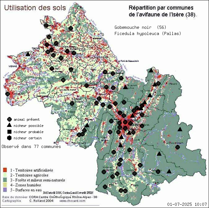 Gobemouche noir (Ficedula hypoleuca (Pallas)): carte de rpartition en Isre