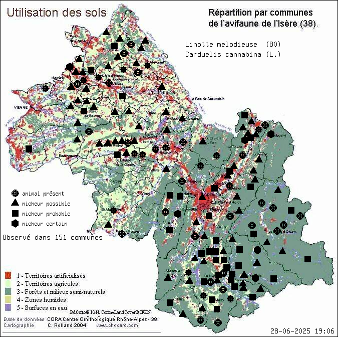 Linotte mlodieuse (Carduelis cannabina (L.)): carte de rpartition en Isre