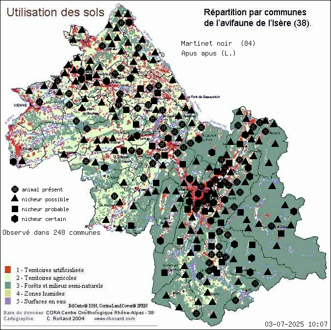 Martinet noir (Apus apus (L.)): carte de rpartition en Isre
