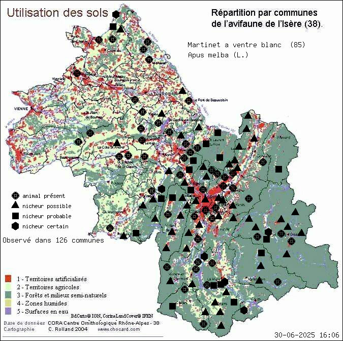 Martinet  ventre blanc (Apus melba (L.)): carte de rpartition en Isre