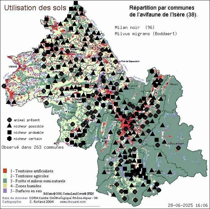 Milan noir (Milvus migrans (Boddaert)): carte de rpartition en Isre