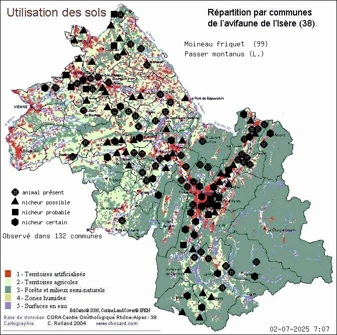 Moineau friquet (Passer montanus (L.)): carte de rpartition en Isre