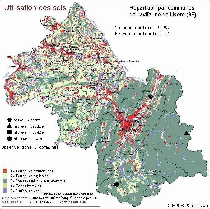 Moineau soulcie (Petronia petronia (L.)): carte de rpartition en Isre