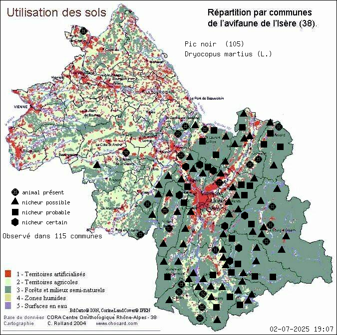 Pic noir (Dryocopus martius (L.)): carte de rpartition en Isre