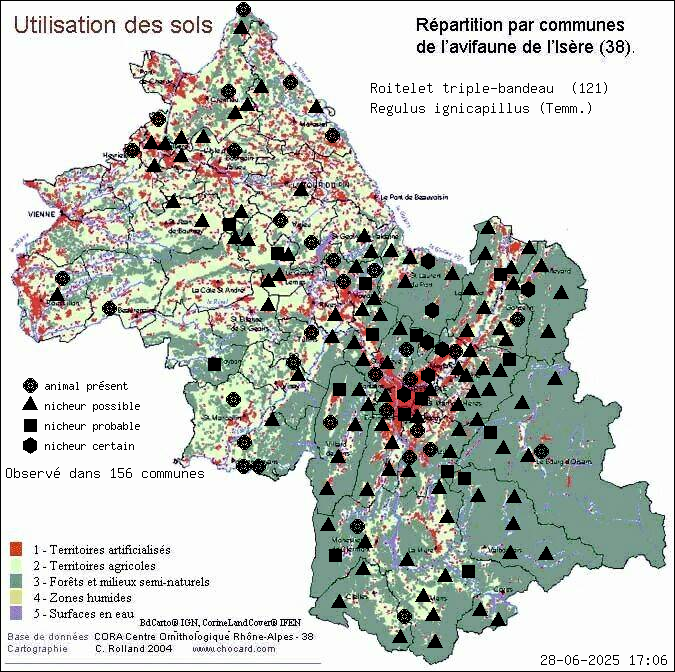 Roitelet triple-bandeau (Regulus ignicapillus (Temm.)): carte de rpartition en Isre