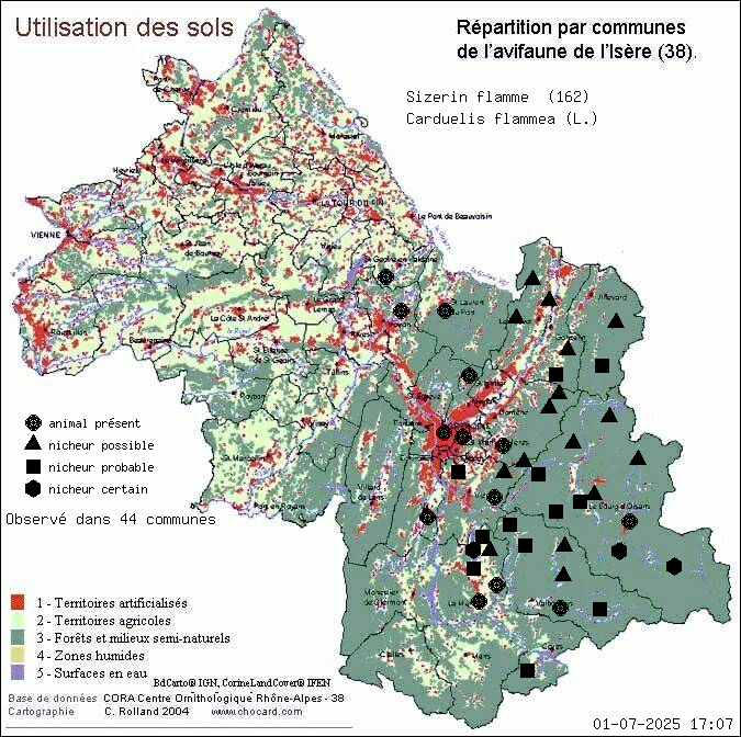 Sizerin flamm (Carduelis flammea (L.)): carte de rpartition en Isre