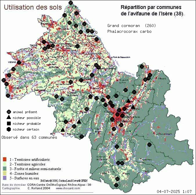 Carte de rpartition par communes en Isre d'une espce d'animal: Grand cormoran (Phalacrocorax carbo) selon Occupation des sols