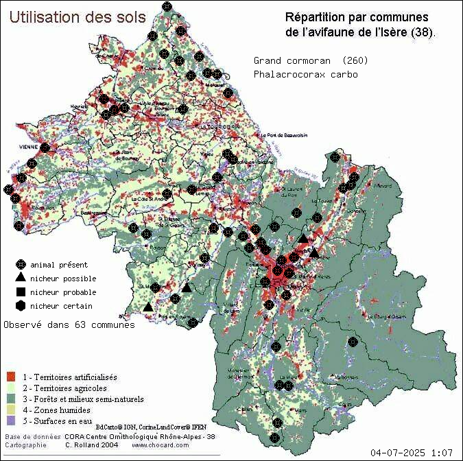 Grand cormoran (Phalacrocorax carbo): carte de rpartition en Isre