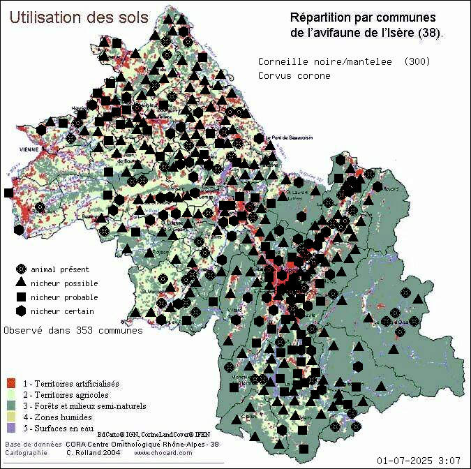 Corneille noire/mantele (Corvus corone): carte de rpartition en Isre