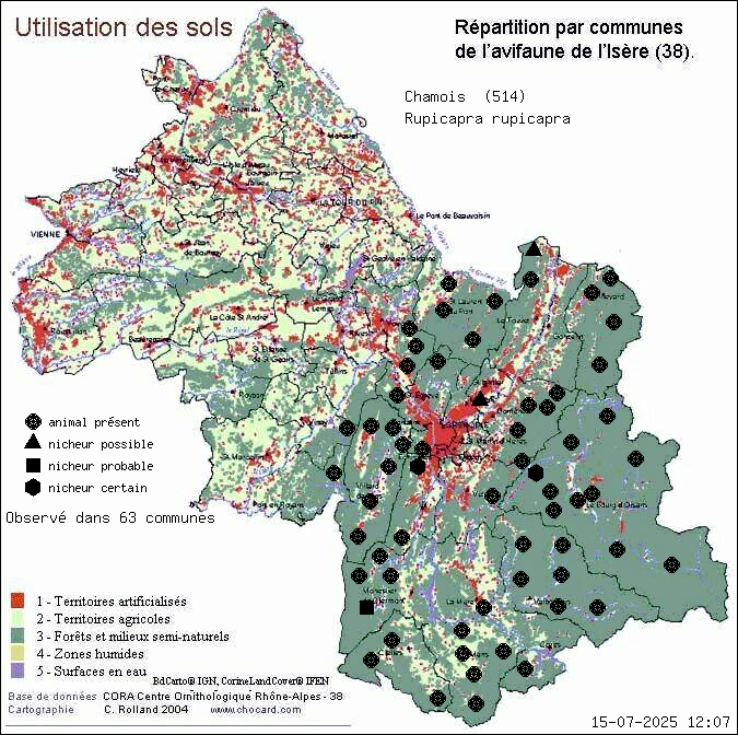 Chamois (Rupicapra rupicapra): carte de rpartition en Isre