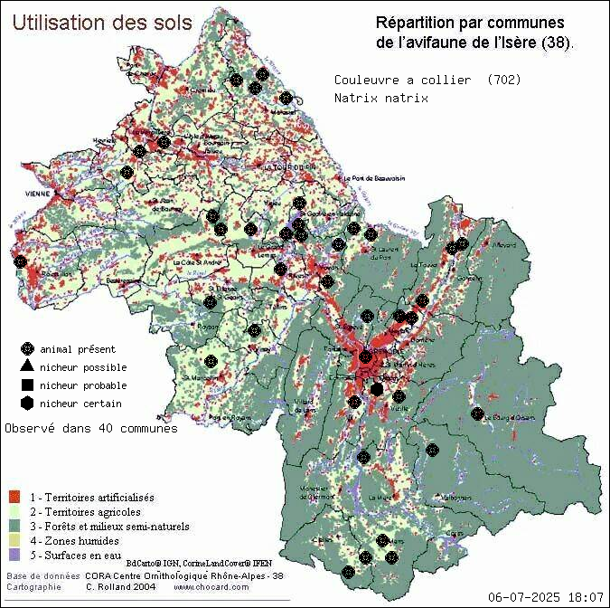 Carte de rpartition par communes en Isre d'une espce d'animal: Couleuvre  collier (Natrix natrix) selon Occupation des sols