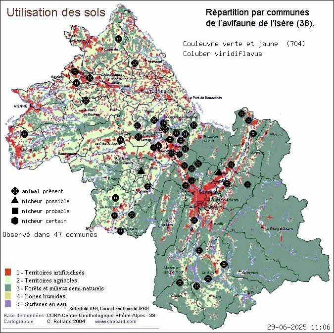 Carte de rpartition par communes en Isre d'une espce d'animal: Couleuvre verte et jaune (Coluber viridiflavus) selon Occupation des sols