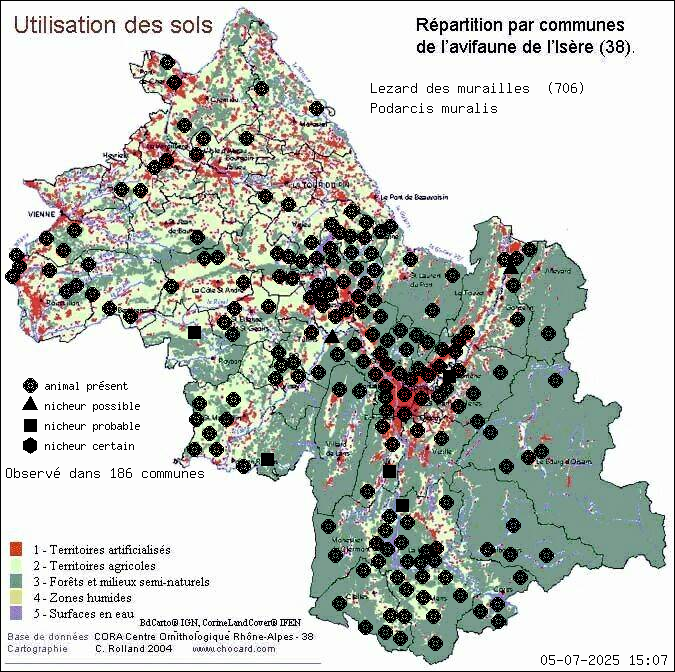 Carte de rpartition par communes en Isre d'une espce d'animal: Lzard des murailles (Podarcis muralis) selon Occupation des sols