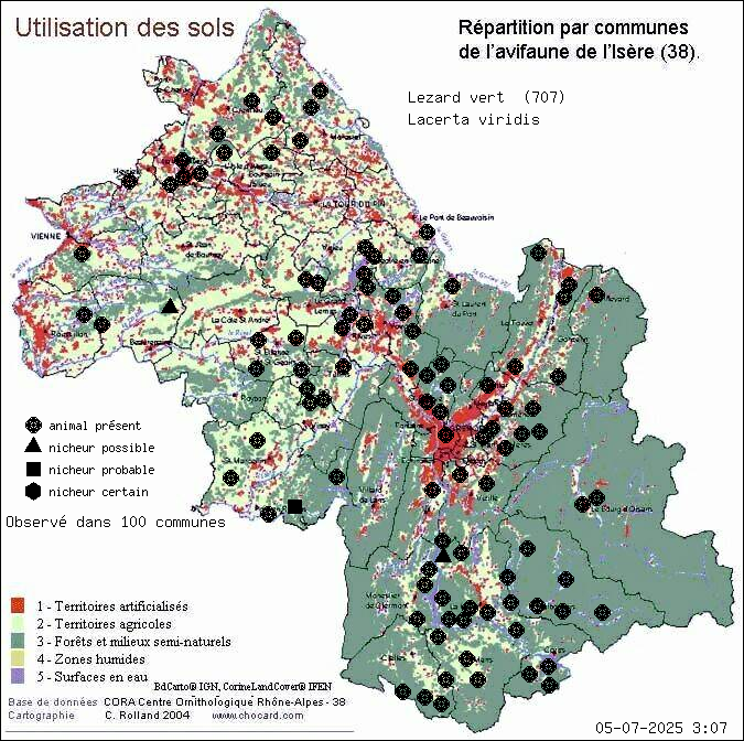 Carte de rpartition par communes en Isre d'une espce d'animal: Lzard vert (Lacerta viridis) selon Occupation des sols