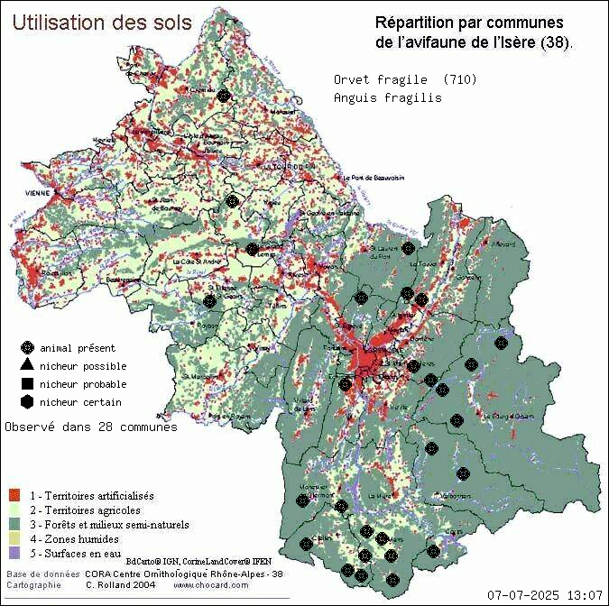 Carte de rpartition par communes en Isre d'une espce d'animal: Orvet fragile (Anguis fragilis) selon Occupation des sols