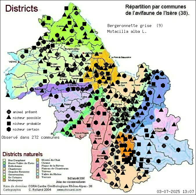 Bergeronnette grise (Motacilla alba L.): carte de rpartition en Isre