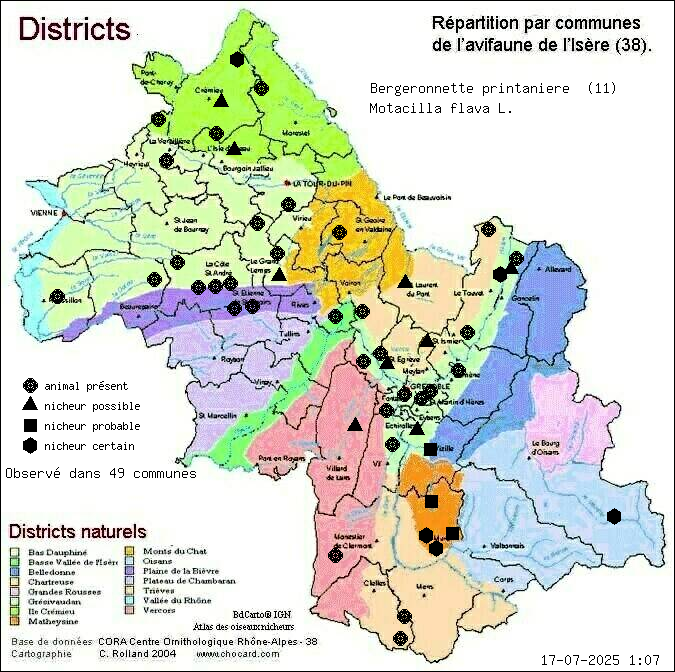 Bergeronnette printanire (Motacilla flava L.): carte de rpartition en Isre