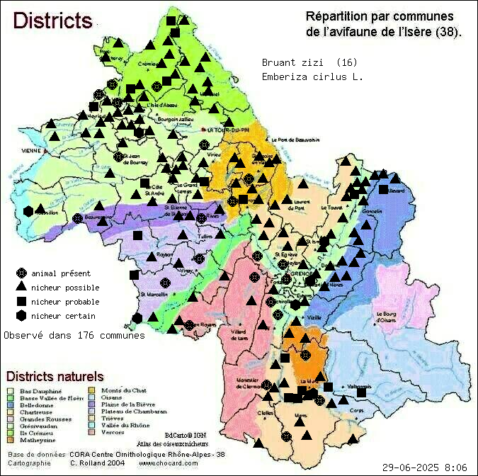 Bruant zizi (Emberiza cirlus L.): carte de rpartition en Isre