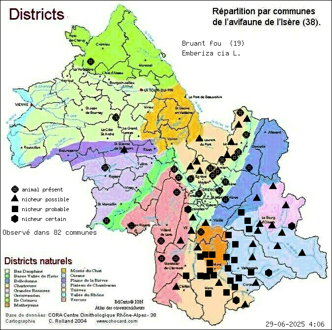 Bruant fou (Emberiza cia L.): carte de rpartition en Isre