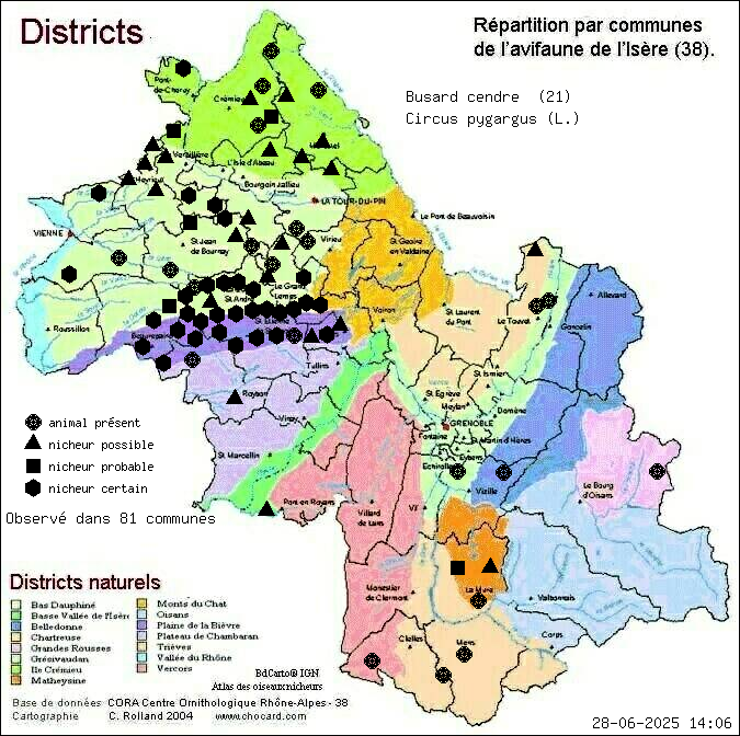 Busard cendr (Circus pygargus (L.)): carte de rpartition en Isre